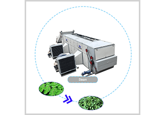 Moringa Drying Machine